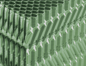 Ammonia Within Cooling Towers OF21MA AccuShield