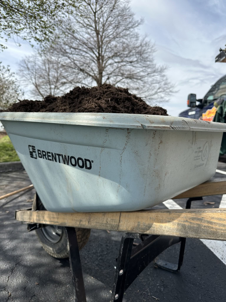 A close-up of a blue Brentwood wheelbarrow filled with dark brown soil. Trees and a vehicle are visible in the background under a partly cloudy sky.