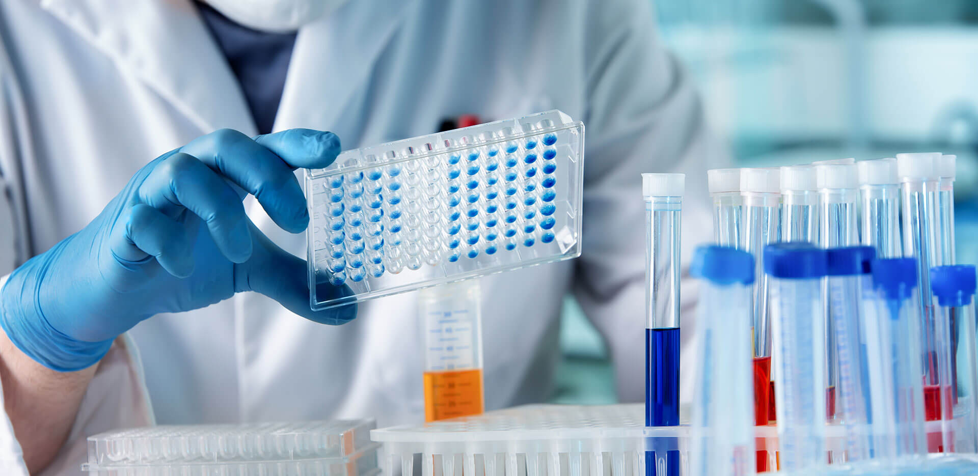 Un científico con bata de laboratorio y guantes azules sostiene una placa de múltiples pocillos llena de muestras. Varios tubos de ensayo que contienen líquidos de colores están organizados en la mesa de laboratorio en primer plano.